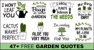 Garden Quotes