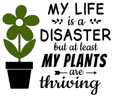 My life is a disaster but at least my plants are thriving. Garden quotes, garden sayings, cricut designs, svg files, plants, cactus, succulents, funny, short, planting, silhouette, embroidery, bundle, free cut files, design space, vector.