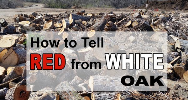 how to tell the difference between red oak vs white oak