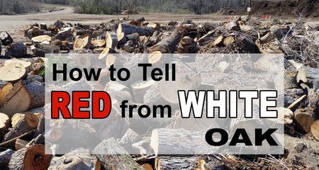How to tell red oak and white oak by looking at the leaves, bark, grain.