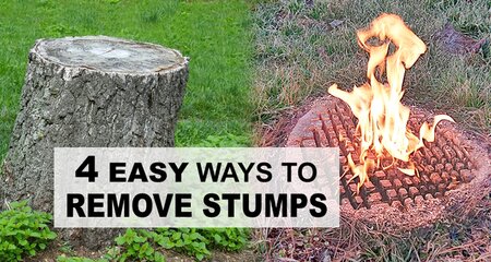 How to Remove Tree Stumps (4 EASY DIY Methods)