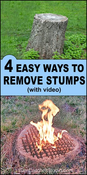 How to remove tree stumps. 4 easy DIY methods to get rid of tree stumps. stump grinder, axe, chainsaw, chemicals, rot, drill holes, potassium nitrate, burn, kerosene, diesel, or charcoal briquettes. 