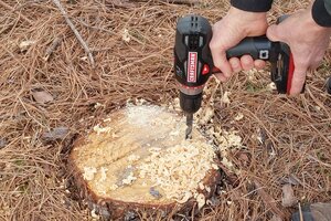 Drilling holes to remove tree stump.