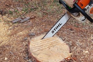 Stump removal chainsaw cutting grooves.