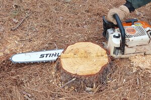 Stump removal chainsaw