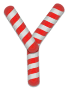 Y - Candy cane clipart. Free printable candy cane stripes, font, alphabet letters and numbers, christmas, clipart, downloadable.
