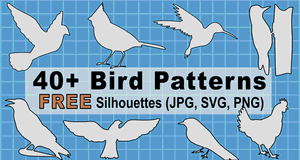 Bird Patterns and Stencils