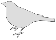 printable bird outline template