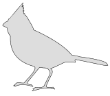 printable bird outline template