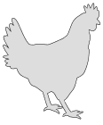 chicken outline printable