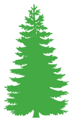 Pine tree template. Free, Christmas, tree, holidays, stencil, template, clip art, design, printable ornament, decoration, cricut, coloring page, winter, window, snow, vector, svg, print, download.
