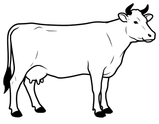 Cow template. Free, cow pattern, template, stencil, outline, printable, clipart, design, coloring page, vector, svg, print, download.