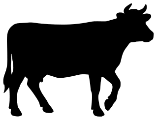 Printable cow pattern template. Free, cow pattern, template, stencil, outline, printable, clipart, design, coloring page, vector, svg, print, download.