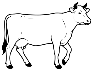 Free printable cow pattern. Free, cow pattern, template, stencil, outline, printable, clipart, design, coloring page, vector, svg, print, download.