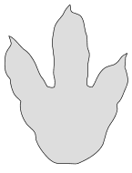 dinosaur footprint template