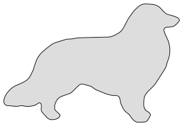Free Border Collie stencil. dog breed silhouette pattern scroll saw pattern, cricut cutting, laser cutting template, svg, coloring.