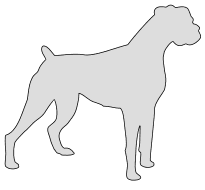 Free Boxer stencil. dog breed silhouette pattern scroll saw pattern, cricut cutting, laser cutting template, svg, coloring.