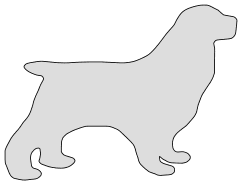 Free Cocker Spaniel pattern. dog breed silhouette pattern scroll saw pattern, cricut cutting, laser cutting template, svg, coloring.