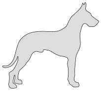 Free Great Dane pattern. dog breed silhouette pattern scroll saw pattern, cricut cutting, laser cutting template, svg, coloring.
