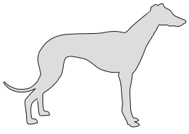 Free Greyhound SVG file. dog breed silhouette pattern scroll saw pattern, cricut cutting, laser cutting template, svg, coloring.