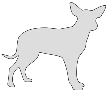 Free Rat Terrier pattern. dog breed silhouette pattern scroll saw pattern, cricut cutting, laser cutting template, svg, coloring.