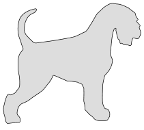 Free Schnauzer template. dog breed silhouette pattern scroll saw pattern, cricut cutting, laser cutting template, svg, coloring.