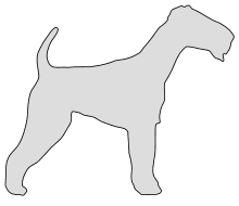 Free Terrier template. dog breed silhouette pattern scroll saw pattern, cricut cutting, laser cutting template, svg, coloring.