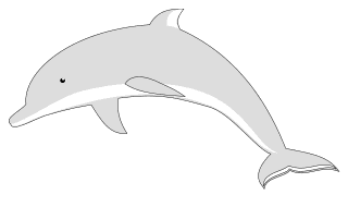 Free Dolphin pattern. template, stencil, clipart design, printable pattern, vector, cricut, scroll saw, svg, coloring page, quilting pattern.