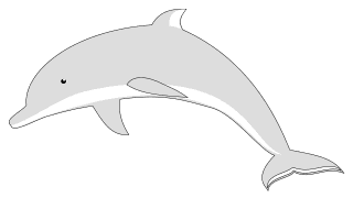 Dolphin pattern. Free, fish, pattern, template, stencil, outline, printable, clipart, design, coloring page, vector, svg, print, download.