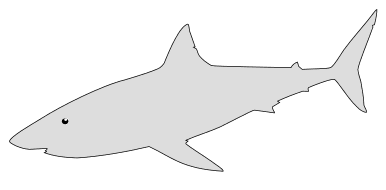 Shark pattern. Free, fish, pattern, template, stencil, outline, printable, clipart, design, coloring page, vector, svg, print, download.