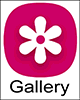 Android Gallery Icon