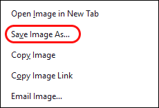 How to save images on your desktop browser (Chrome, Edge, FireFox, Safari).