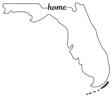 Florida outline with HOME on border, free, printable, cricut or Silhouette design, vector image, pattern, map shape, cutting file.