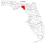 Map of Florida highlighting Taylor county, pattern, stencil, template, svg.