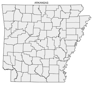 Free printable Arkansas map with county lines, state, outline, printable, shape, template, download.