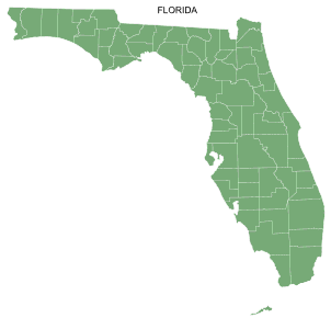 Free printable Florida map with county lines, state, outline, printable, shape, template, download.