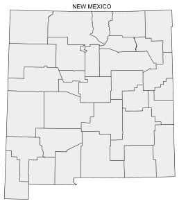 Free printable New Mexico map with county lines, state, outline, printable, shape, template, download.