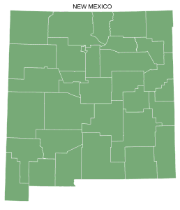 Free printable New Mexico map with county lines, state, outline, printable, shape, template, download.