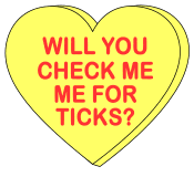 CHECK ME FOR TICKS, free, printable, Valentine’s Day, candy heart saying, message, pattern, stencil, template, vector, svg, print, download, clipart, design, svg.