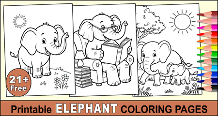 Elephant Coloring Pages and Coloring Sheets