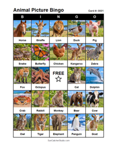 Animal Picture Bingo Card #0001. Free printable animal picture bingo card for kids with animal pictures and words, perfect for classroom games, parties, preschool, and elementary school activities.