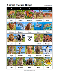 Animal Picture Bingo Card #0002. Free printable animal picture bingo card for kids with animal pictures and words, perfect for classroom games, parties, preschool, and elementary school activities.