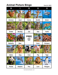 Animal Picture Bingo Card #0003. Free printable animal picture bingo card for kids with animal pictures and words, perfect for classroom games, parties, preschool, and elementary school activities.
