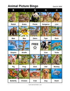 Animal Picture Bingo Card #0004. Free printable animal picture bingo card for kids with animal pictures and words, perfect for classroom games, parties, preschool, and elementary school activities.