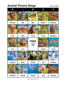 Animal Picture Bingo Card #0006. Free printable animal picture bingo card for kids with animal pictures and words, perfect for classroom games, parties, preschool, and elementary school activities.