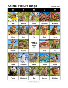 Animal Picture Bingo Card #0007. Free printable animal picture bingo card for kids with animal pictures and words, perfect for classroom games, parties, preschool, and elementary school activities.