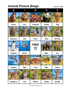 Animal Picture Bingo Card #0008. Free printable animal picture bingo card for kids with animal pictures and words, perfect for classroom games, parties, preschool, and elementary school activities.