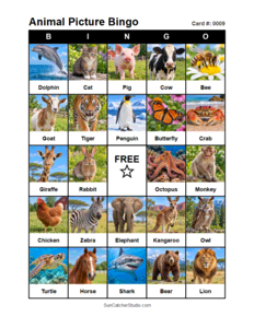 Animal Picture Bingo Card #0009. Free printable animal picture bingo card for kids with animal pictures and words, perfect for classroom games, parties, preschool, and elementary school activities.