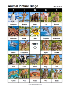 Animal Picture Bingo Card #0010. Free printable animal picture bingo card for kids with animal pictures and words, perfect for classroom games, parties, preschool, and elementary school activities.