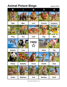 Animal Picture Bingo Card #0011. Free printable animal picture bingo card for kids with animal pictures and words, perfect for classroom games, parties, preschool, and elementary school activities.
